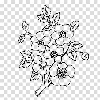 Flowers, flowers illustration transparent background PNG clipart