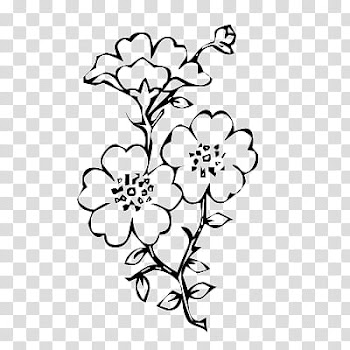 Flowers, flowers transparent background PNG clipart