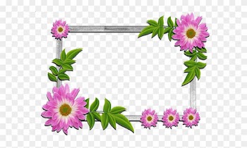 Flowers Frame - Frame Flower