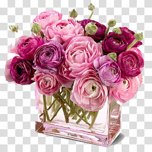 Flowers I, purple and pink rose flower arrangement transparent background PNG clipart