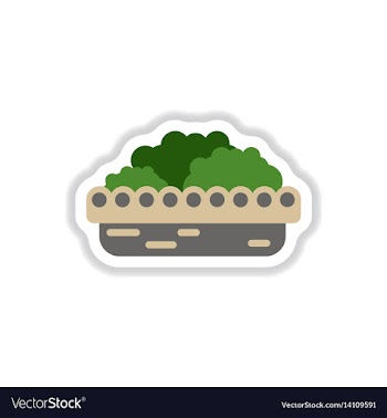Flowers in a big pot icon house pot plants vector image