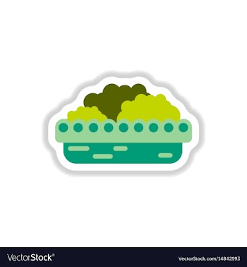 Flowers in a big pot icon house pot plants vector image
