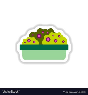 Flowers in a big pot icon house pot plants vector image