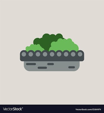 Flowers in a big pot icon house pot plants vector image