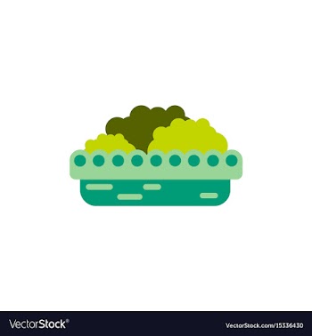 Flowers in a big pot icon house pot plants vector image