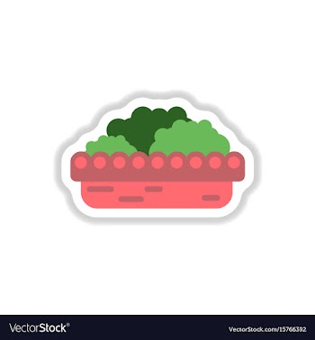 Flowers in a big pot icon house pot plants vector image