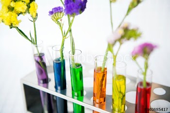 Flowers in a row of testubes with different colored water decoration and science experiment concept