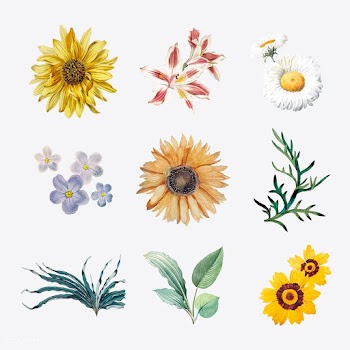 Flowers in bloom | Free stock vector - 544924