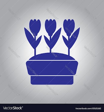 Flowers in pot icon house pot plants garden vector image