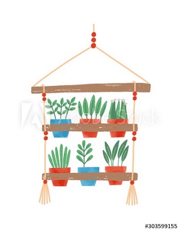 Flowers in pots flat vector illustration