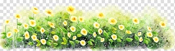 , Flowers in the bush transparent background PNG clipart