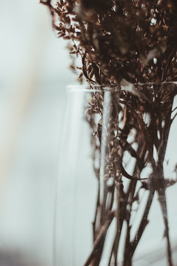 Flowers in Vase