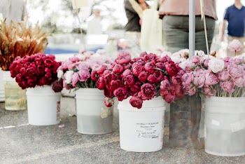 Flowers In White Buckets