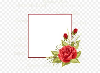Flowers invitations vector 