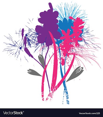 Flowers like fireworks vector image