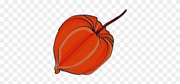 Flowers, Natural, Draw, Red, Gimp - Pumpkin