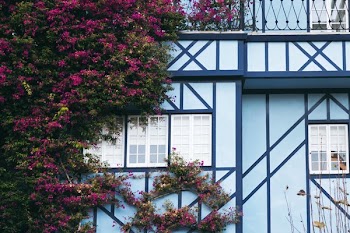 Flowers On House Exterior
