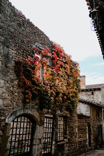 Flowers on Stoned House