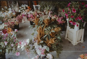 Flowers on White Wooden Flower Pot