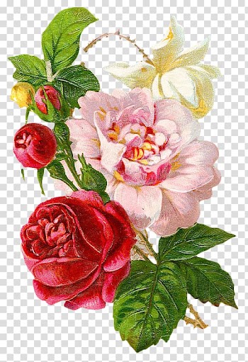 Flowers painting, Victorian era Flower Rose Floral design , Retro hand-painted floral material transparent background PNG clipart
