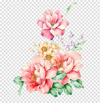 Flowers, pink and yellow flowers illustration transparent background PNG clipart