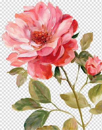 Flowers, pink-petaled flower painting transparent background PNG clipart