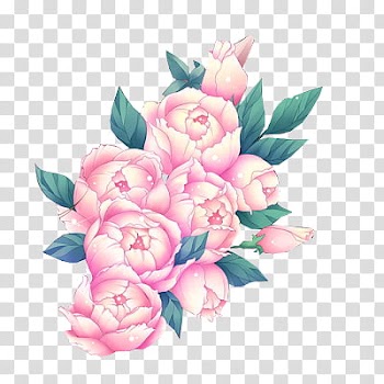 Flowers, pink petaled flower transparent background PNG clipart