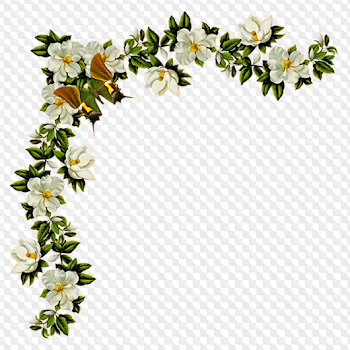 Flowers png, birds png images, clipart png on a transparent ...