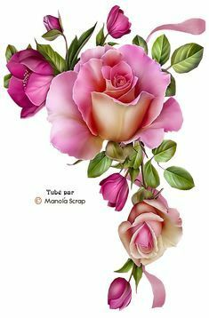 flowers png clipart – begoniaflower.cf