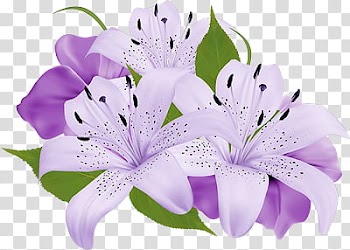 Flowers, purple and white flowers illustration transparent background PNG clipart