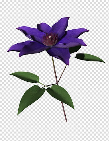 Flowers, purple flower transparent background PNG clipart