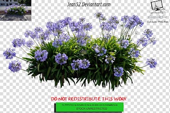 Flowers, purple flowers with text overlay transparent background PNG clipart