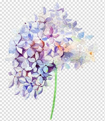 Flowers, purple Hydrangea flower illustration transparent background PNG clipart