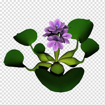 Flowers, purple-petaled flowers art transparent background PNG clipart