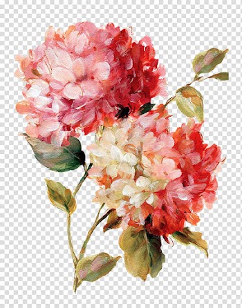 Flowers, red and pink flowers illustration transparent background PNG clipart