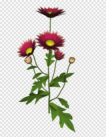 Flowers, Red flower illustration transparent background PNG clipart