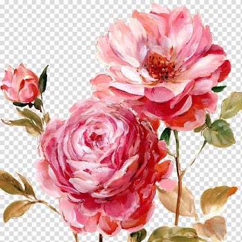 Flowers, red flower illustration transparent background PNG clipart