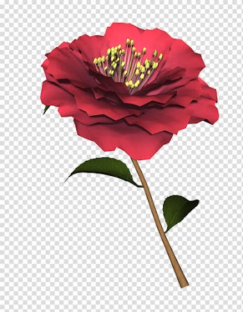 Flowers, red flower transparent background PNG clipart