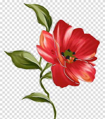 Flowers, red petaled flower illustration transparent background PNG clipart
