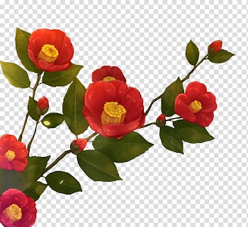 Flowers, red petaled flowers transparent background PNG clipart