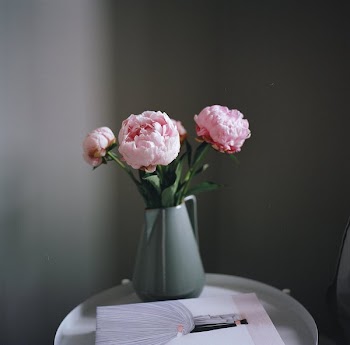 Flowers Shot On Film