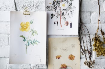Flowers Sketches on White Brick Wall