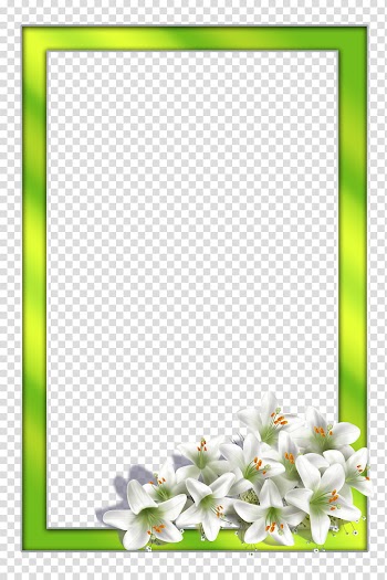 Flowers styles frames, white and yellow petaled flowers transparent background PNG clipart