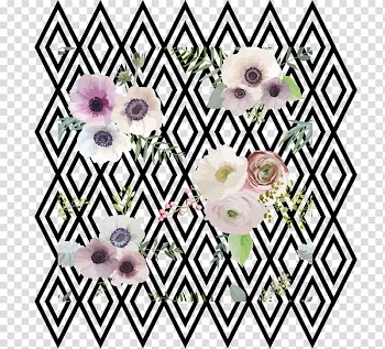 Flowers transparent background PNG clipart