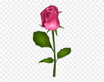 Flowers - Transparent Background Rose Bud Clip Art