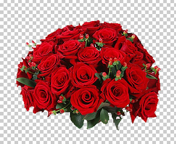 Flowers.ua Garden Roses Flower Bouquet PNG, Clipart, Blue Rose ...