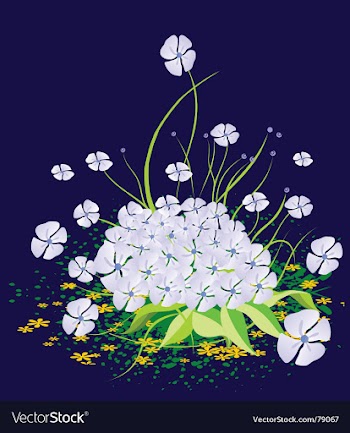 Flowers vector image