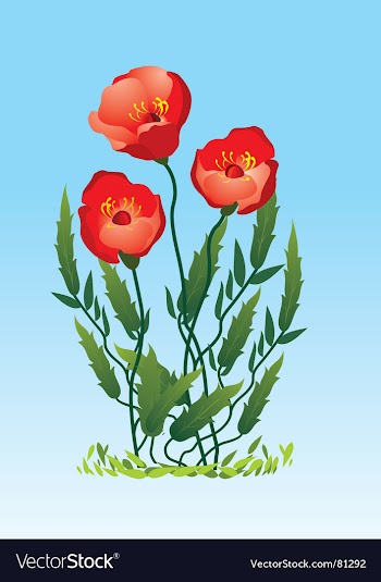 Flowers vector image