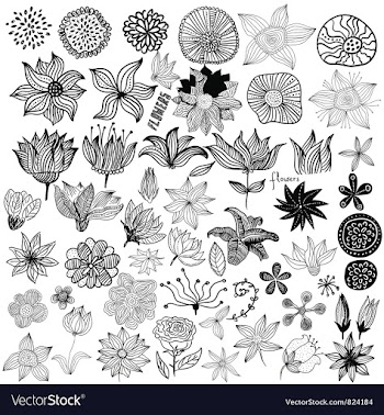 Flowers vector image