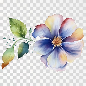 Flowers Watercolor PNG transparent background
